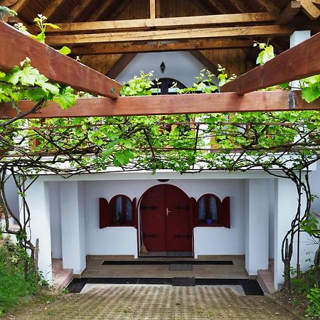 Klara Vendeghaz Villa Badacsonyors Luaran gambar