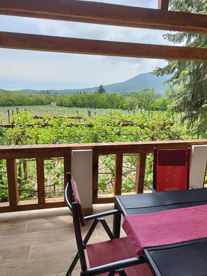 Klara Vendeghaz Villa Badacsonyors Luaran gambar