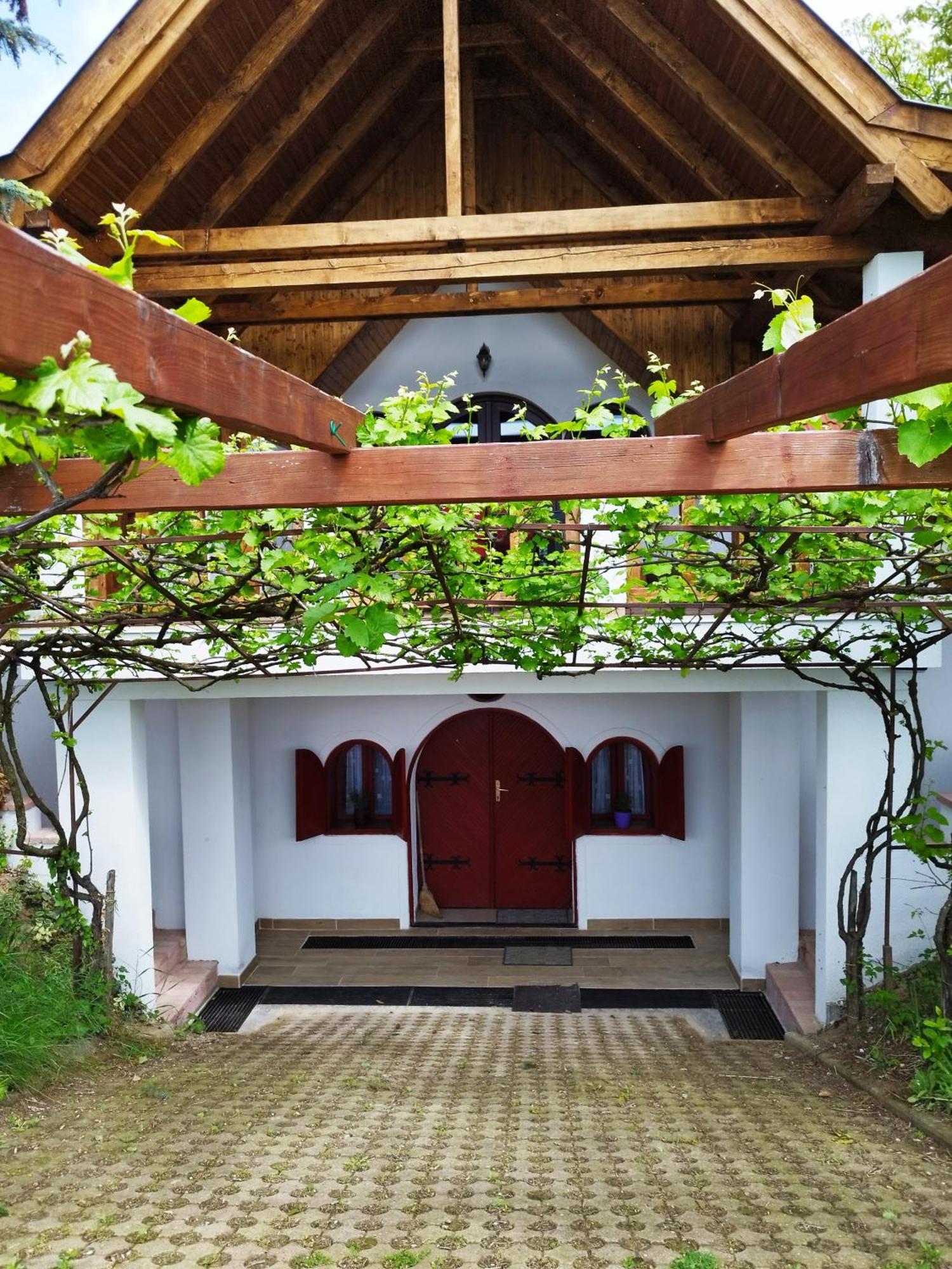 Klara Vendeghaz Villa Badacsonyors Luaran gambar