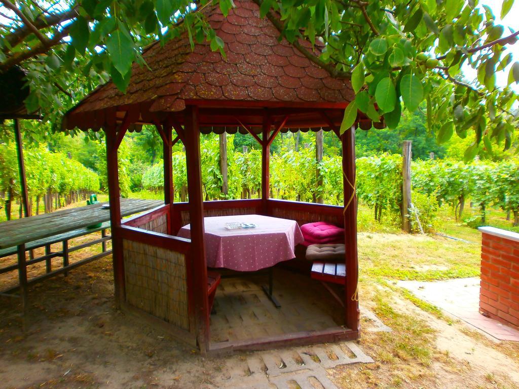 Klara Vendeghaz Villa Badacsonyors Luaran gambar